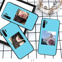 pet pig cute animal cover funda coque phone case for huawei honor mate p 10 20 30 40 pro 10i 9 10 20 8 x lite