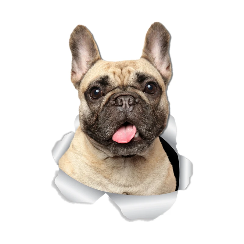 

S30961# Self-adhesive Decal Loveable French Bulldog Car Sticker Motorcycle Laptop Waterproof Auto Decors on Bumper Rear Window