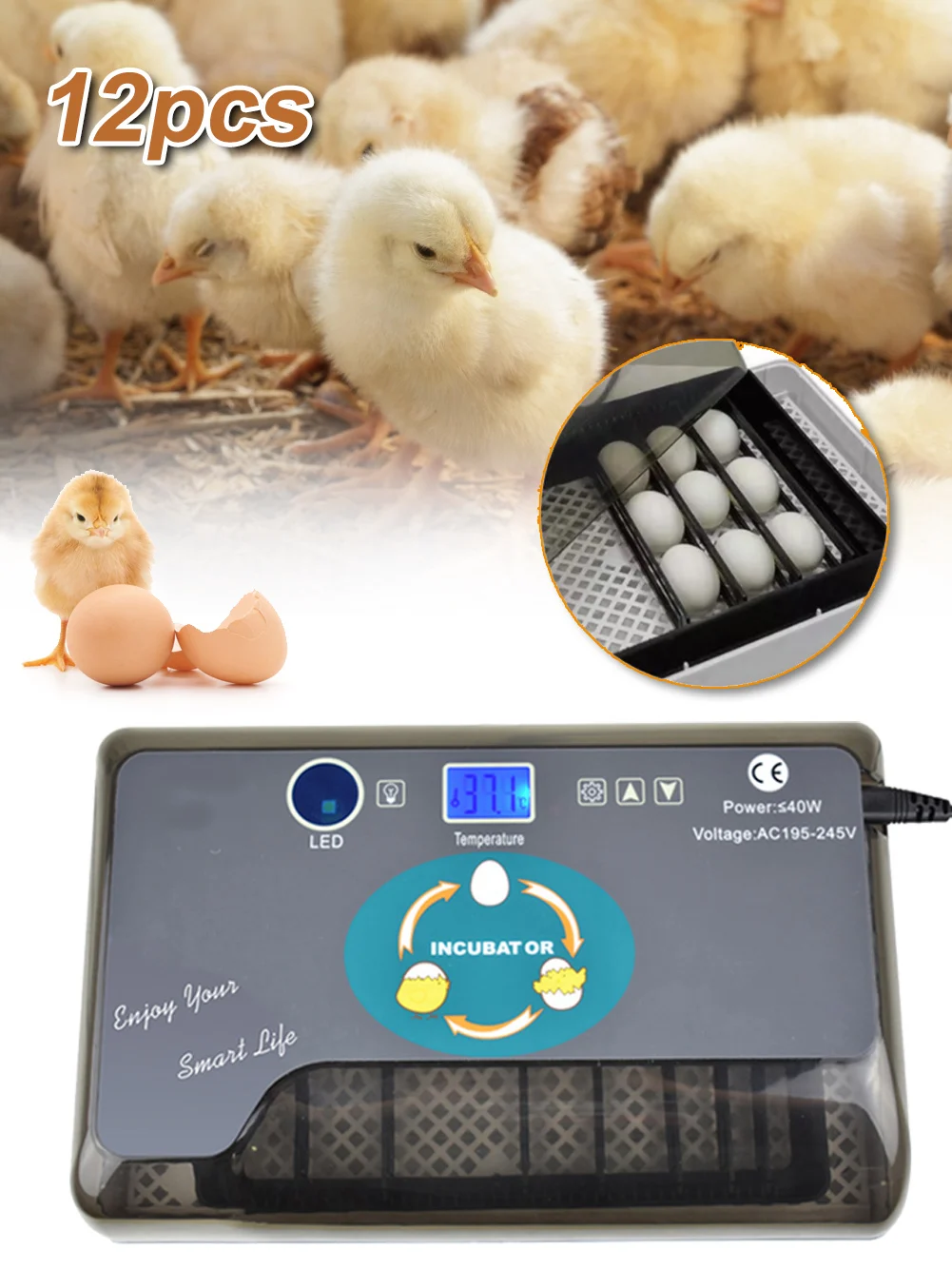 

Newest Farm Hatchery Incubator Brooder Machine 12 Egg Hatchers Cheap Price Chicken Automatic Eggs Incubator Bird Quail Brooder
