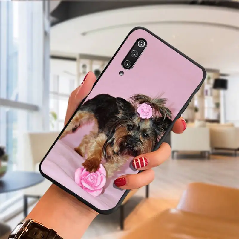 

Hot Yorkshire terrier dog puppy Phone Case For Samsung J 8 7 6 2 M10 20 30 Prime core pro ace NEO Cover Fundas Coque