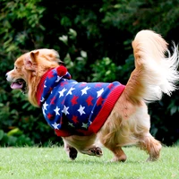 2021 hot salenew dog clothes big dog star hooded sweater golden retriever satsuma border husky dog sweater for large dogs