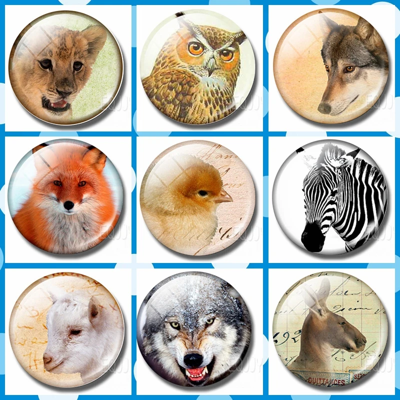 Магниты на холодильник с изображением животного мира лисы гепарда Совы цыпленка