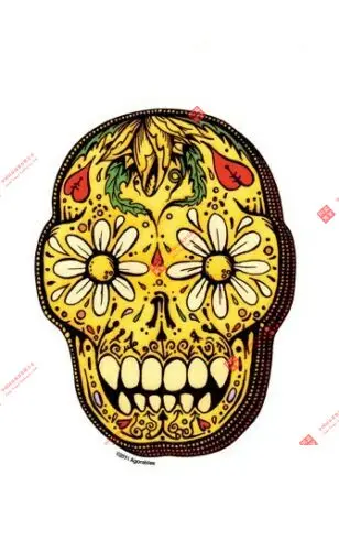 

InterestingDaisy Mexican Sugar Skull Heart and Daisy Vinyl Artcar DecalSticker
