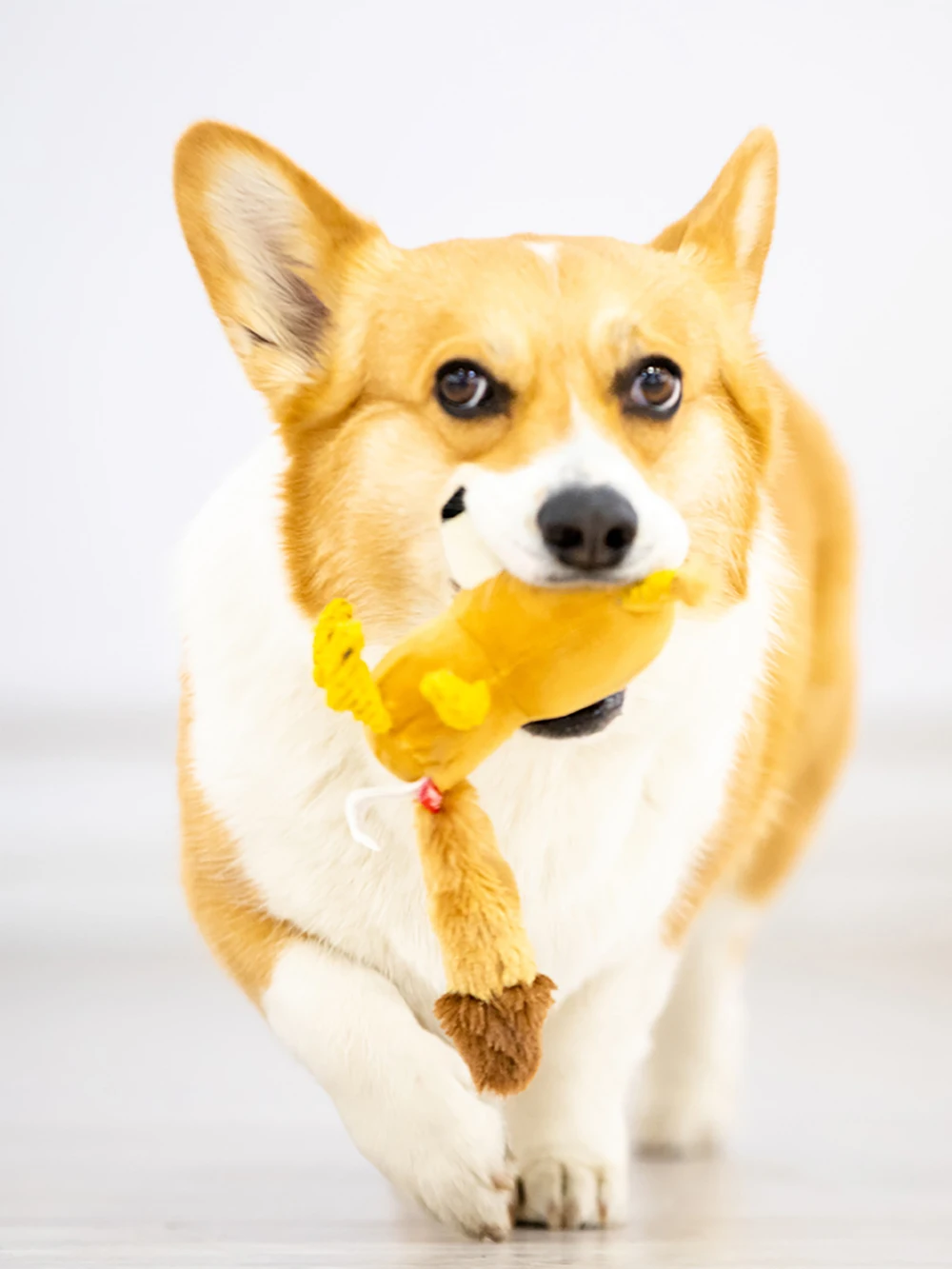 

GIGWI Pet Toys Plush Friends Series Big Eyed Simulation Plush Interactive Toys for Dog Puppy Cat Fleece Canvas Sound Toy