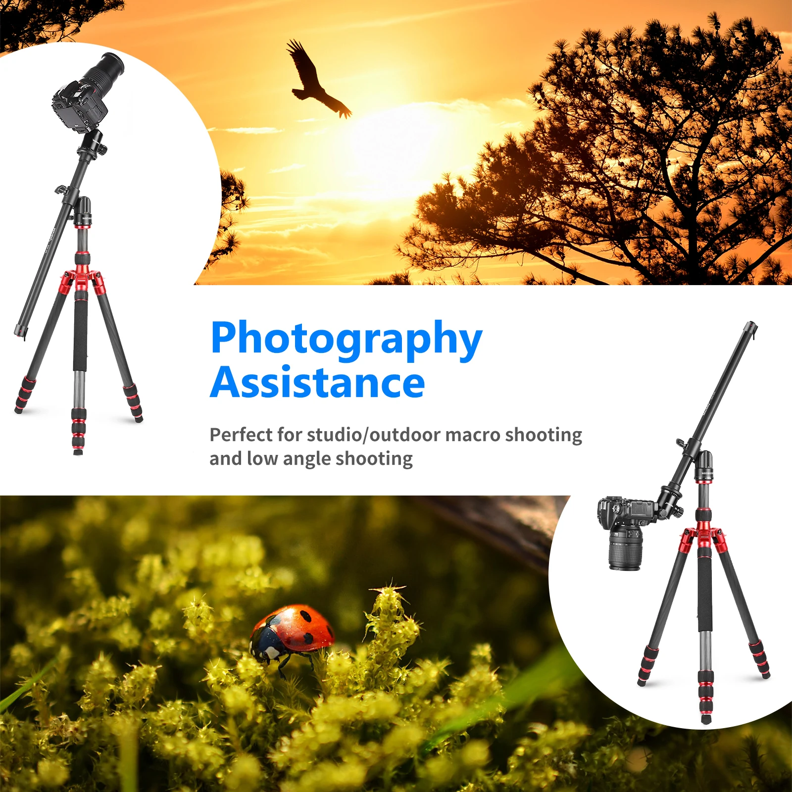 

Neewer 19.7" Horizontal Center Column Tripod Extension Arm Rotatable 360 Aluminum Alloy Swivel Lock for Overhead Photography