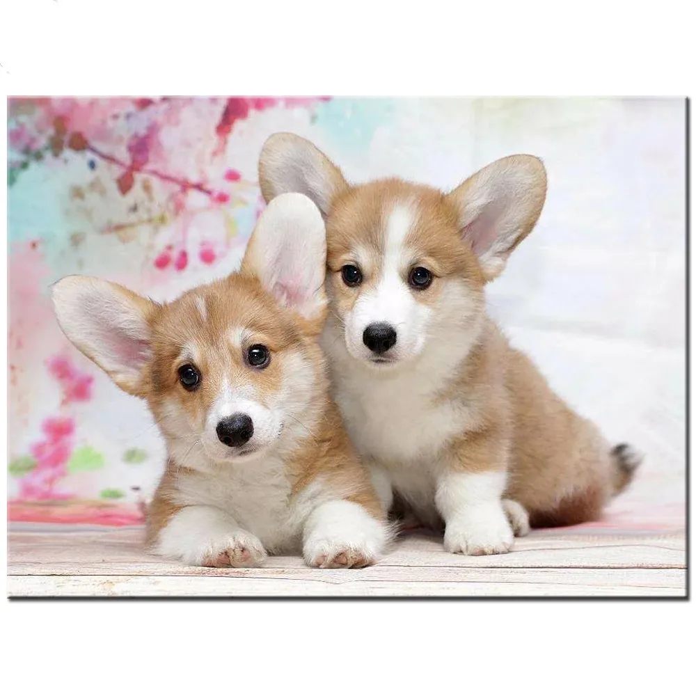 

5d diy diamond mosaic welsh corgi dog diamond painting full square set diamond embroidery 3d handmade cute pet 3d picture, G346