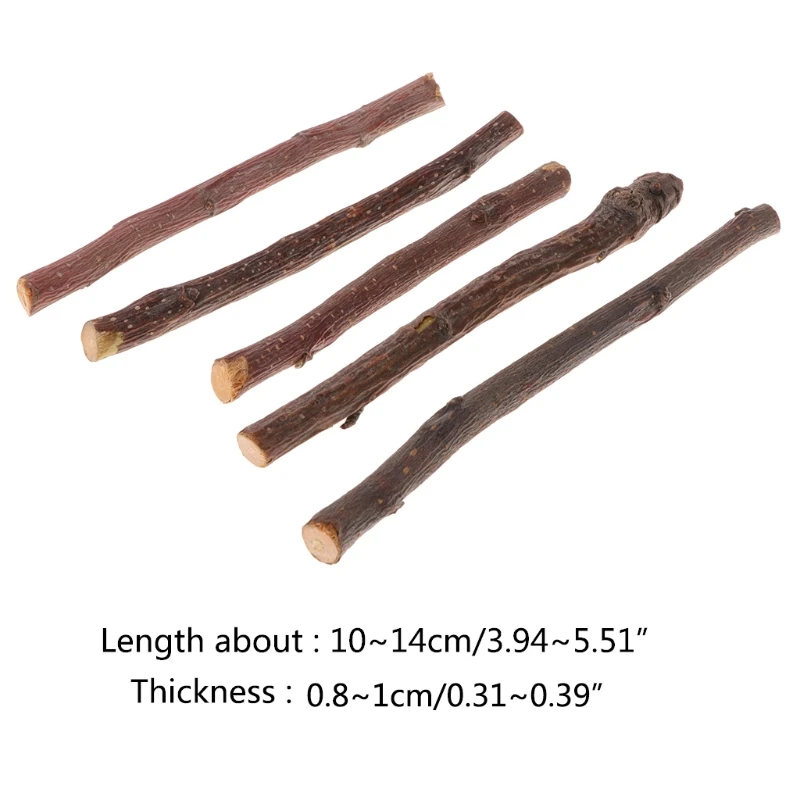 Жевательная палочка 5 шт. яблоко ветка дерева хомяк белка натуральные