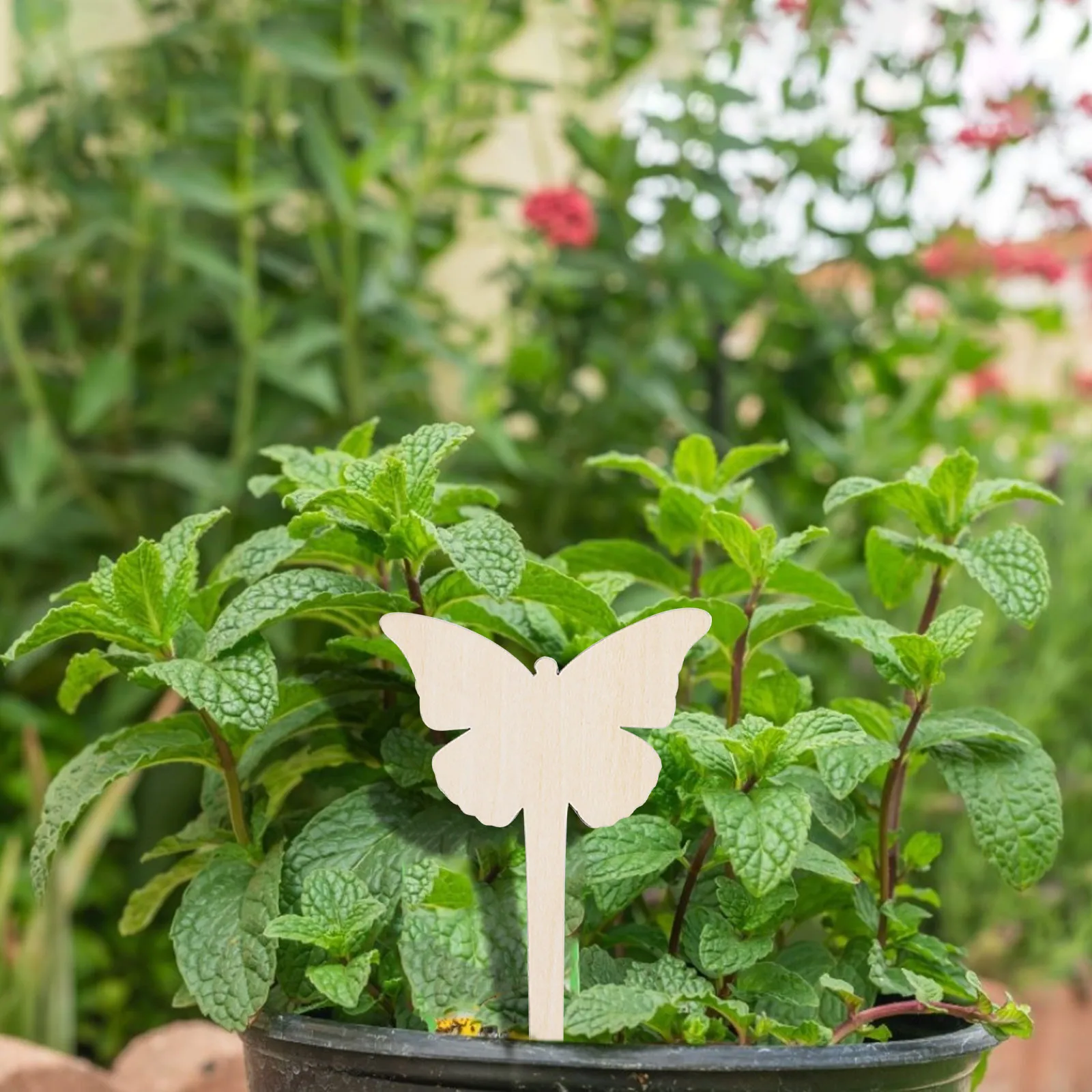 Деревянный Творческий садоводческий ярлыки для растений можете написать