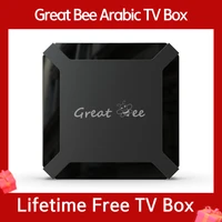 2022 google hot search great bee arab tv box home media satellite reciver netflix youtube smart 4k arabic ip tv box