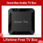 2022 Google Горячий Поиск Great Bee Arabic TV Box Home Media Satellite Reciver Netflix Youtube Smart 4K Арабская IP TV Box