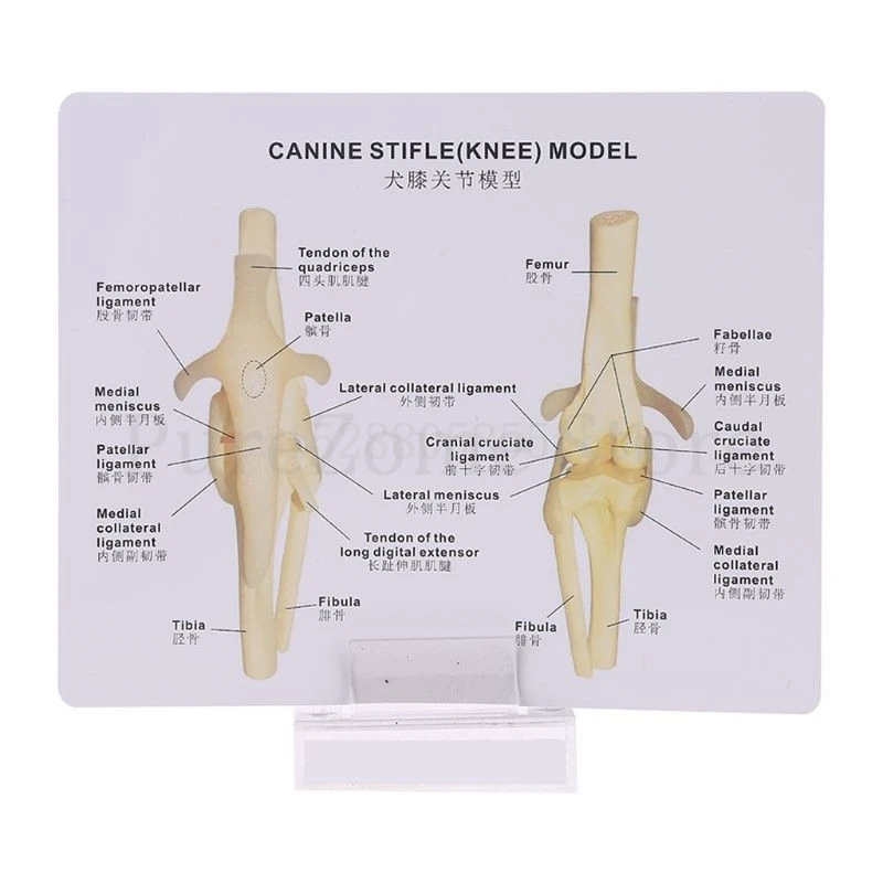 

Educational Equipment & Supplies