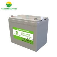 5 years warranty 12v 60ah lithium ion lithium polymer battery