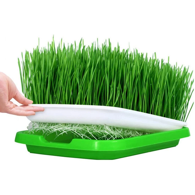 

6Pcs Seed Sprouter Trays Seed Germination Tray Hydroponics Gg Kits