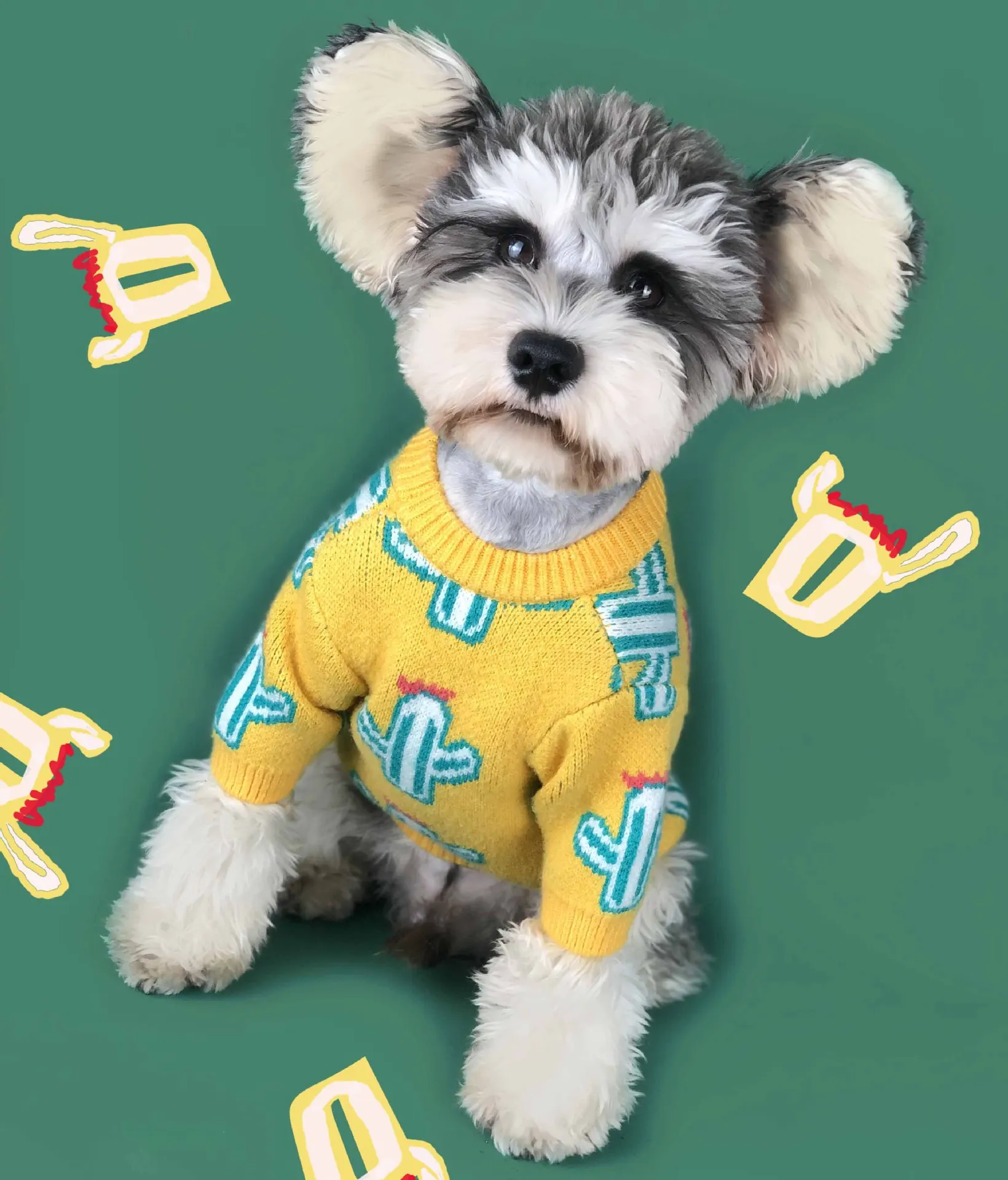 

Dog Clothes Spring and Autumn clothes Thick Cactus Sweater Teddy Schnauzer Bomei Cat Sweater