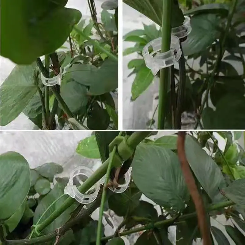 Прочные пластиковые зажимы для поддержки растений 30 мм | Дом и сад