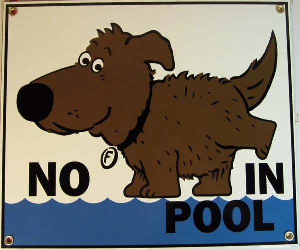 

Vintage Metal Tin Sign No Peeing In Pool Funny Dog Pool Outdoor Yard Signs & Home Bar Restaurant Kitchen Wall