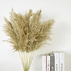 10 шт., декоративная пампасная трава, 60 см