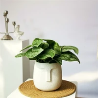przy creative human face planter mold concrete flower pot making moulds cement planter molds diy silicone plaster resin craft