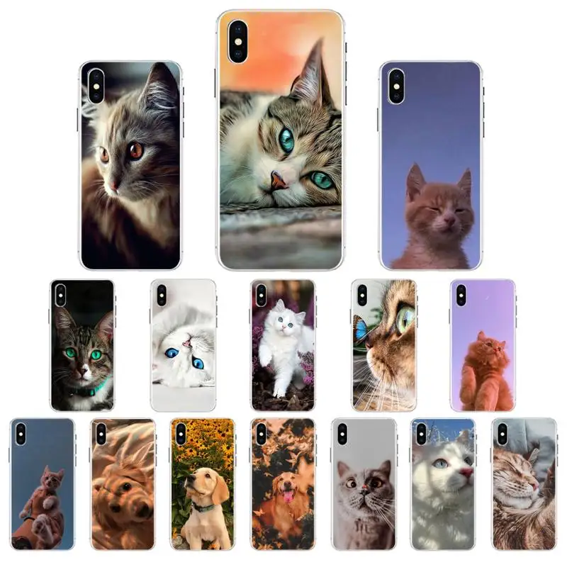 

Cute Animal Cat Phone Case For iPhone X XS MAX 11 12 pro max 6 6s 7 7plus 8 8Plus 5 5S XR se 2020 case