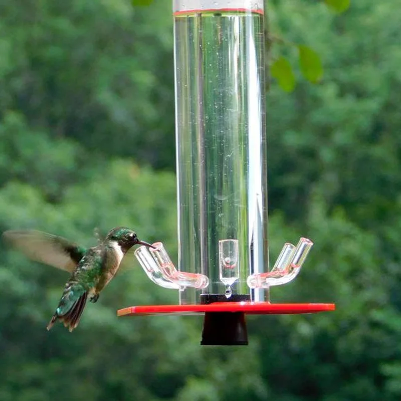 

Hummingbird Feeders Outdoor Courtyard Hanging Bird Feeder Transparent Wild Bird Feeder Hooks Design Gazebo Hummingbird Feeder