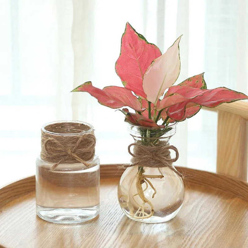 

New DIY Clear Glass Hyacinth Vase Transparent Flower Plant Bottle Pot Ornaments Home Living Room Garden Decoration Desk Decors