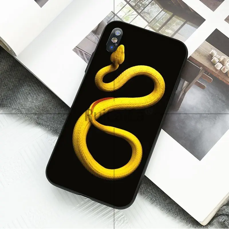 A2 Ruicaica Coral snake animal TPU Silicone Phone Case Cover for Apple iPhone 8 7 6 6S Plus X XS MAX 5 5S SE XR 11 11pro max Cover - Color: A2