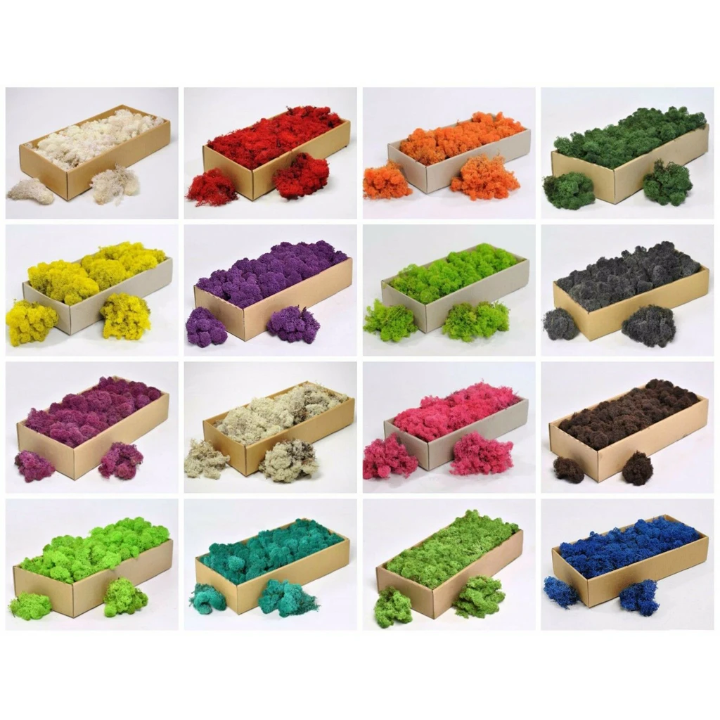 Натуральный Норский олень мох сохраняемый сушеный цветок для цветов трава