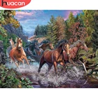 HUACAN живопись маслом по номерам животные Лошадь стены искусства DIY рамка картины по номерам дерево акриловый холст украшение дома 60х75см