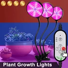Светодиодная лампа Groeilampen для выращивания растений, гибкий светильник полного спектра для выращивания растений, саженцев, цветущих, красный, синий, 5 В, USB