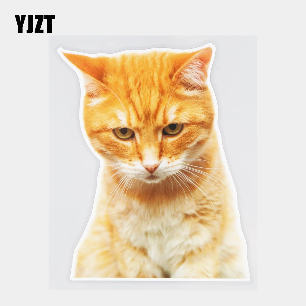 

YJZT 13.5×16.7CM Yellow Cat Funny Animal Car Sticker Fashion Body Decoration Vinyl Decals 21A-1221