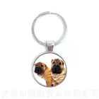 Брелок для ключей с изображением собаки, 25 мм
