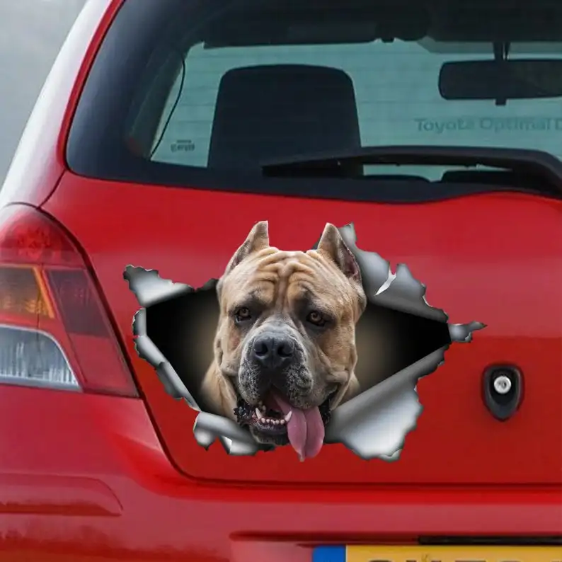 

2021 Formentino Cane Corso car decal, Cane Corso magnet, Cane Corso car sticker, pet decal