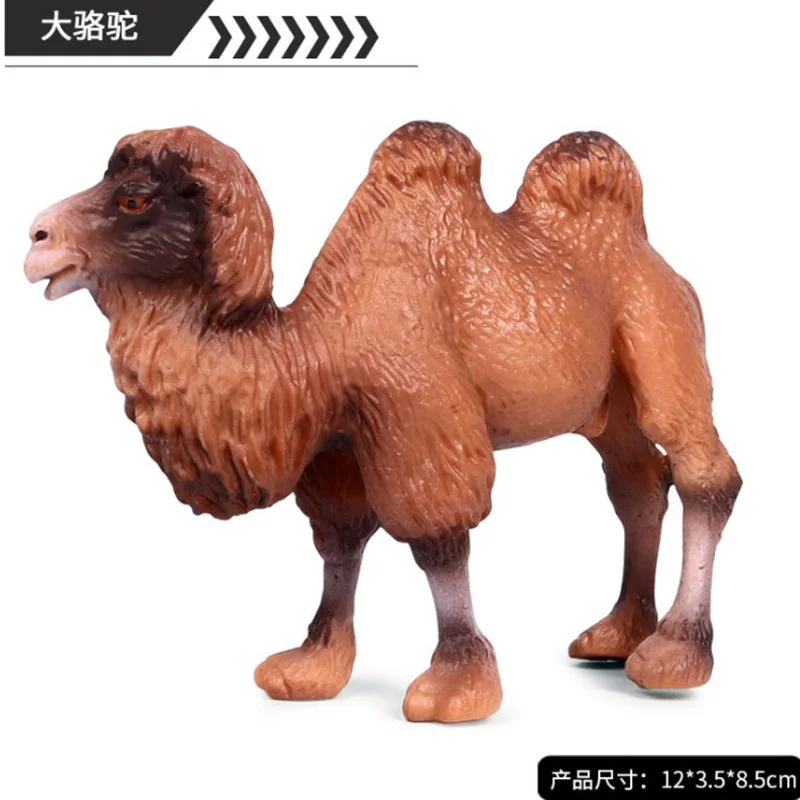 6 видов Твердые моделирование верблюда животных статуэтки коллекционные игрушки