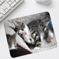animal cute cat mouse pad mats mice pads big promotion small size 26x21cm square mouse pad no locking edge table mats for gamer
