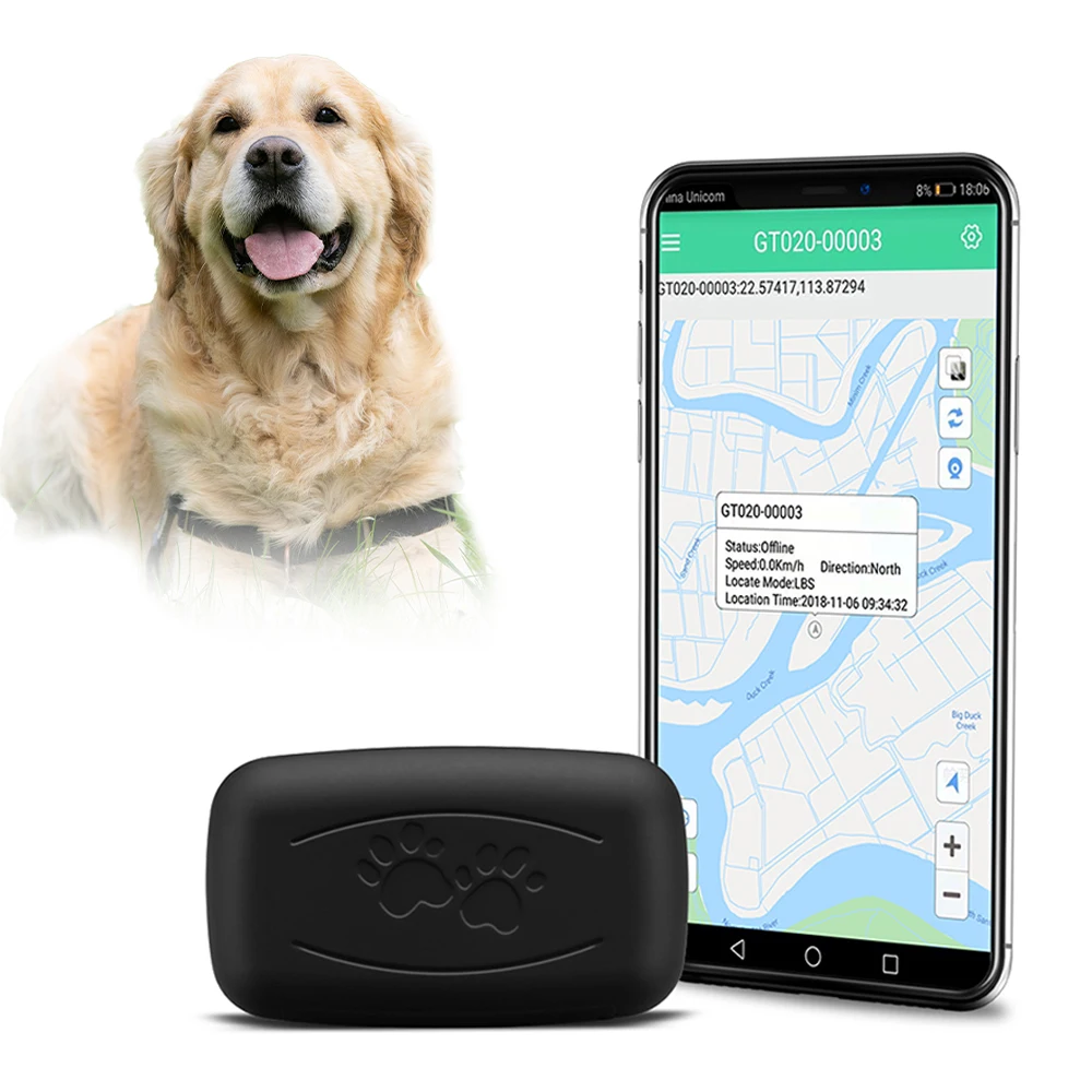 

Pet Products