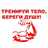 Изображение товара 4