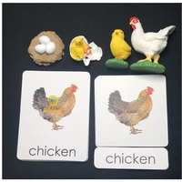 montessori models toy life cycle of chick educational equipment for kids early learning tools biology teaching materials