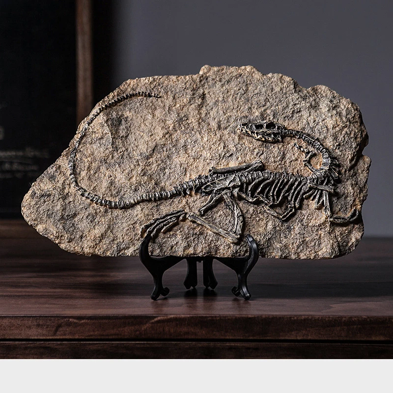 

A19 American Dinosaur Fossil Resin Study Living Room Porch Decoration Handicraft Window Antique Props Pterosaur Velociraptor