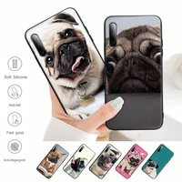 funny pug dog phone case for samsung galaxy s9 s10 s20 s21 s30 plus ultra s10e s7 s8 silicone cover