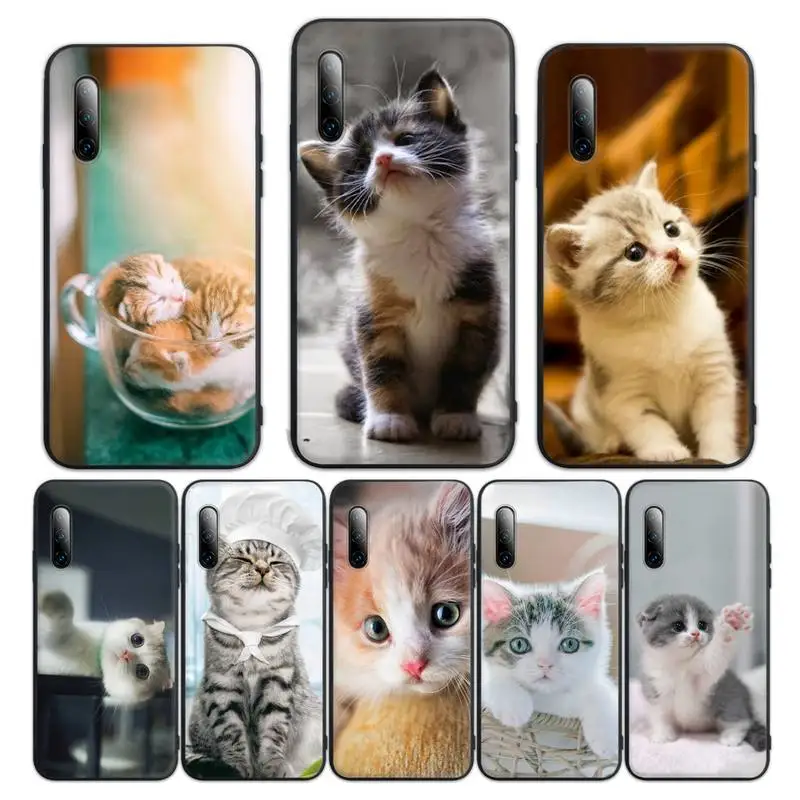 Малый молочный cat телефонные чехлы для Huawei P9 p10 p20pro p30lite p30pro p40pro p40lite SMART2019 чехол Fundas