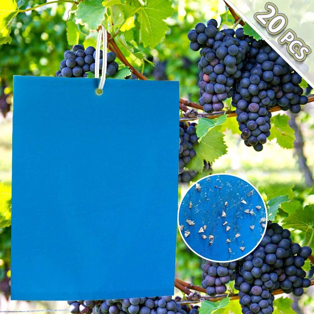 

20PC Sticky Fly Trap Paper Dual-Sided Blue Traps Fruit Flies Insect Glue Catcher Outdoor Fly Board Bait Flies Double Traps