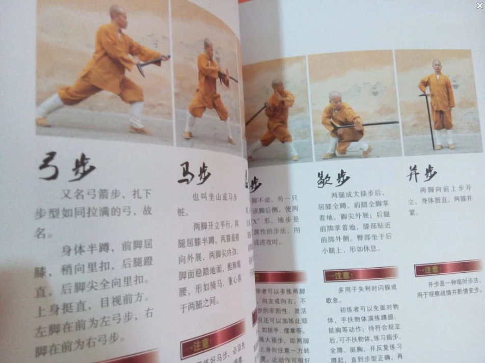 Шаолин палка Бодхидхарма шаолин кулак Ши де Ян с DVD обучение китайскому кунг-фу