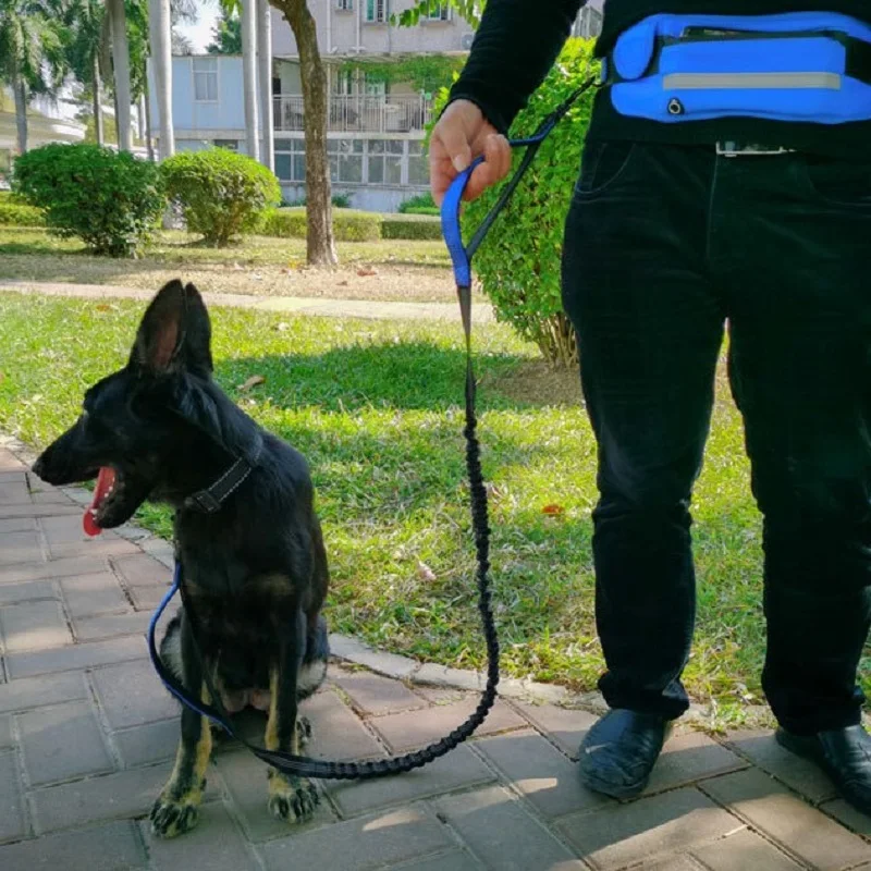 

Adjustable Hands Free Dog Leash For Pets Walking Running Jogging Hiking Lead Waist Belt Small Medium Dogs Accessories