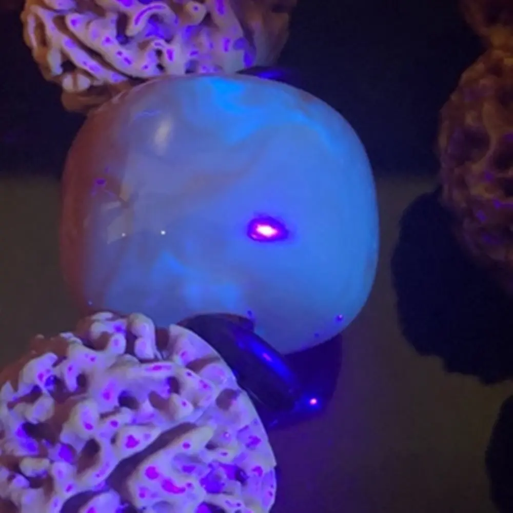 Фонарик Alonefire Аккумуляторный УФ-фонарь для обнаружения пятен мочи животных с