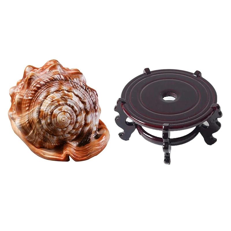 

1 шт. ракушка, Коралловая морская улитка, аквариумный орнамент и 1 шт., винтажный домашний декор, искусственная подставка