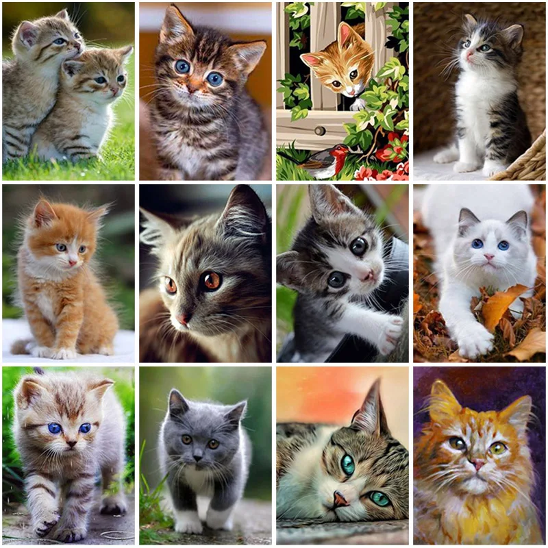 

DIY Cat 5D Diamond Painting Full Square Drill Animal Daimond Embroidery Resin Cross Stitch Kits Wall Art Home Decor Gift