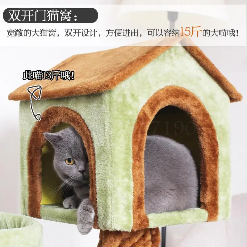 Скалолазание в европейском и американском стиле для скалолазания на дереве