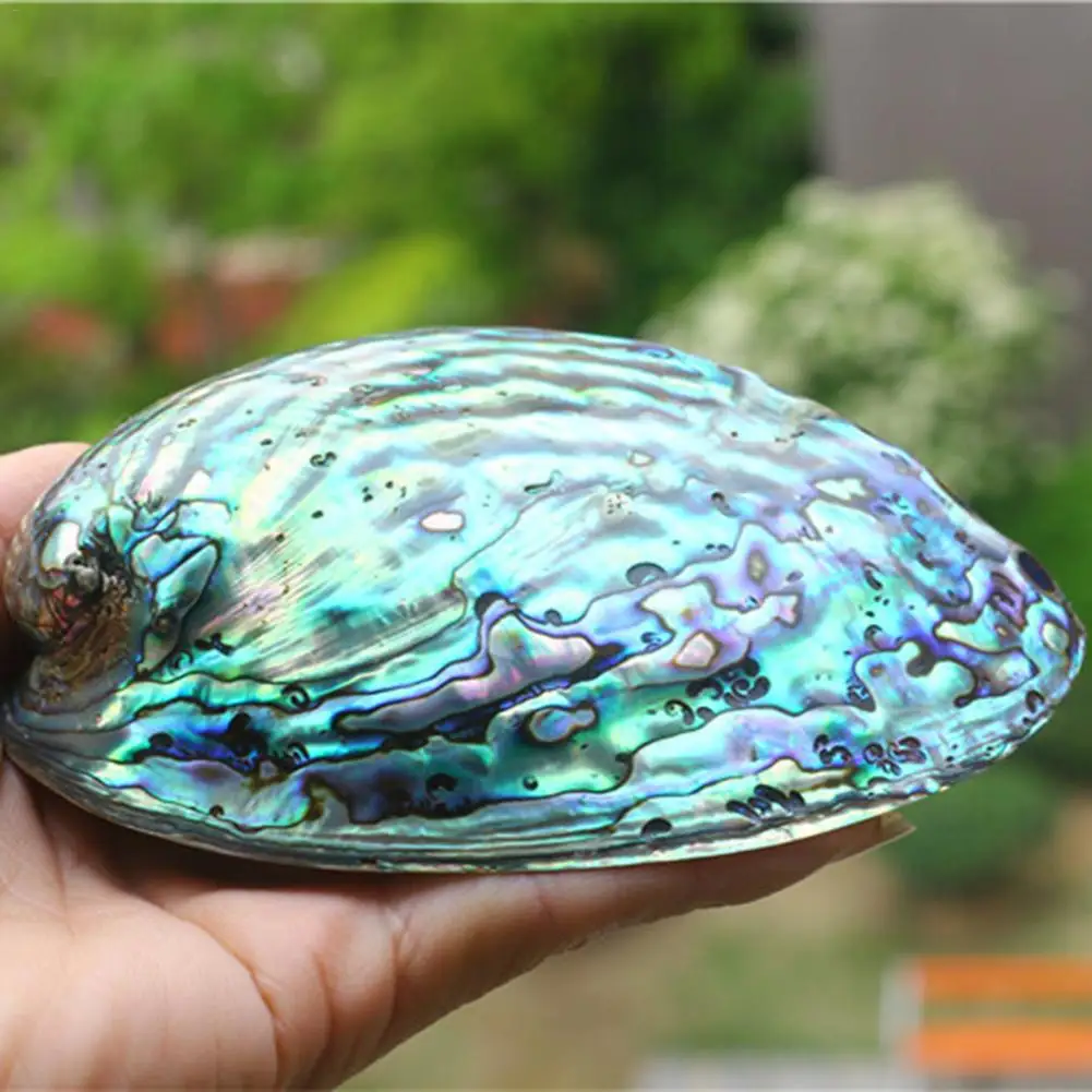 Ароматическая горелка в виде ракушки Абалон натуральная синяя ракушка