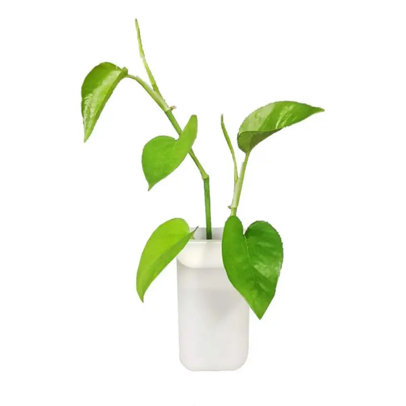 Новинка 2020 настенный резиновый флорет бутылка силиконовая ваза контейнер