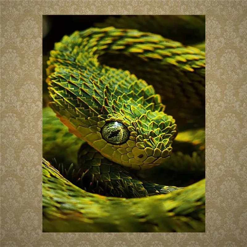 

Diamond Painting Animal Snake Cat Lion Square Diamond Round Diamond Decoration Customizable Wall Art Decoration Frameless